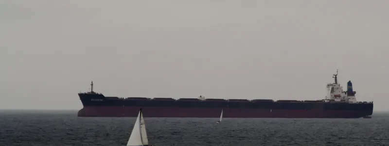 EKATERINI Bulk Carrier IMO 9447158 photo 9