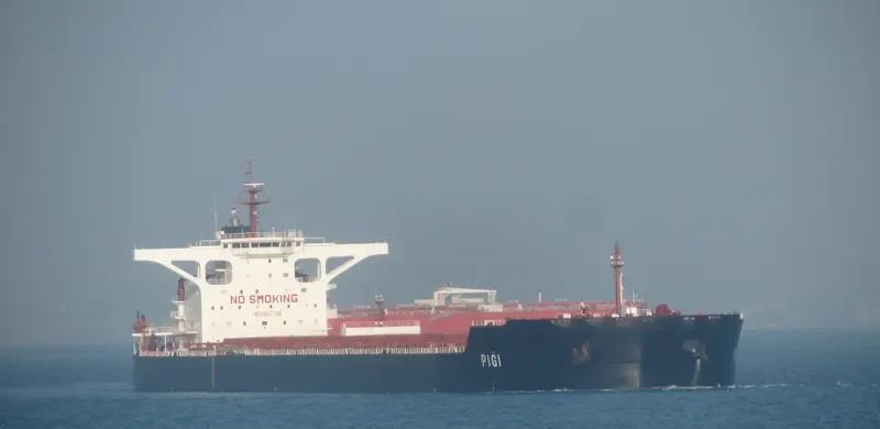 PIGI Bulk Carrier IMO 9447196