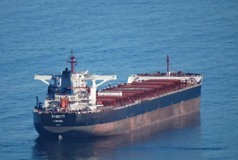 DIGNITY Bulk Carrier IMO 9447201 photo 2