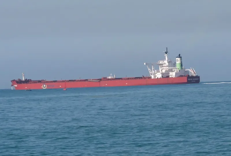 BERGE EVEREST Bulk Carrier IMO 9447536 photo 9