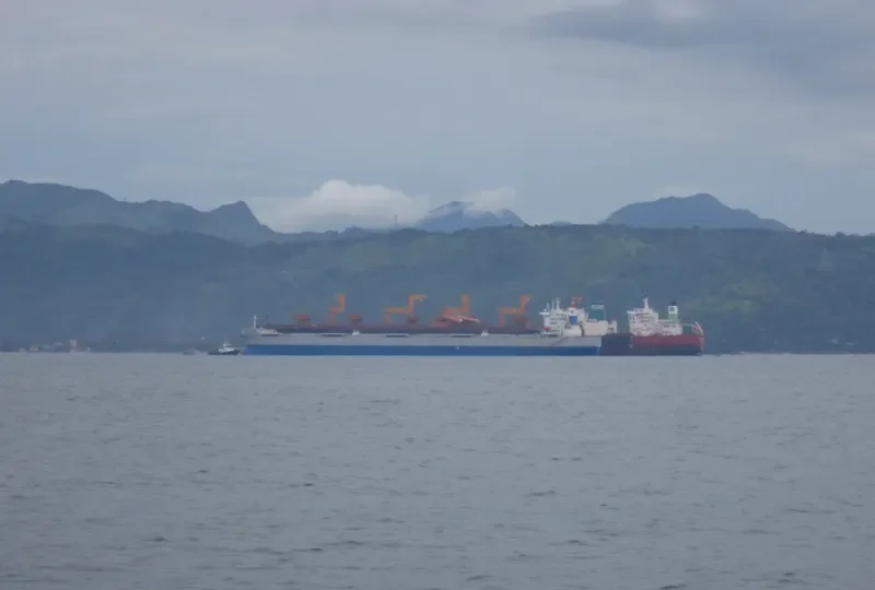 BERGE ACONCAGUA Bulk Carrier IMO 9447548 photo 8