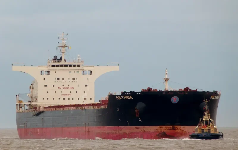 POLYMNIA Bulk Carrier IMO 9447976 photo 8