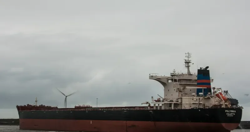 POLYMNIA Bulk Carrier IMO 9447976 photo 9