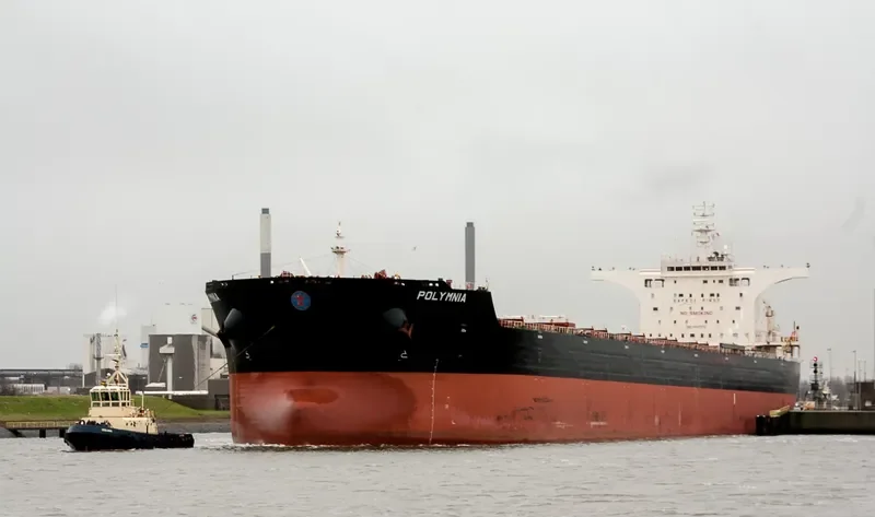 POLYMNIA Bulk Carrier IMO 9447976 photo 10