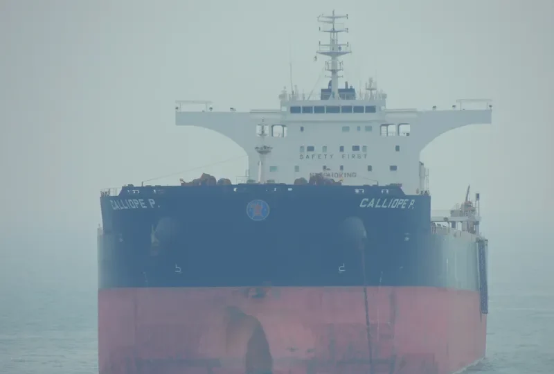 CALLIOPE P. Bulk Carrier IMO 9447988