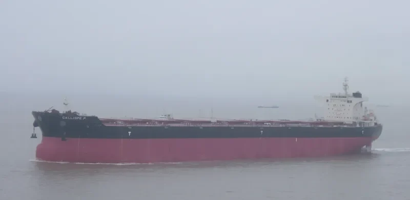 CALLIOPE P. Bulk Carrier IMO 9447988 photo 2