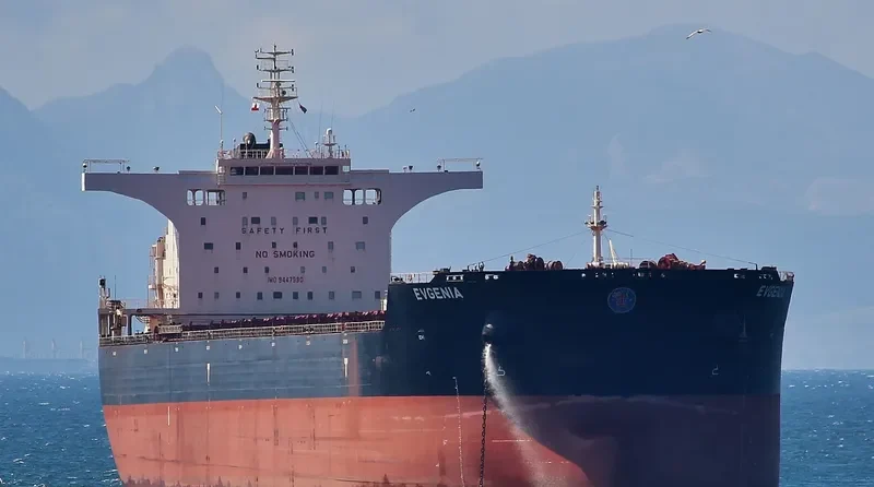 EVGENIA P. Bulk Carrier IMO 9447990 photo 3