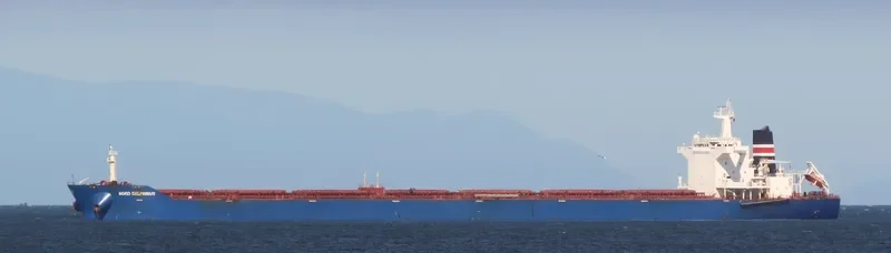 EVRYDIKI Bulk Carrier IMO 9448023 photo 6