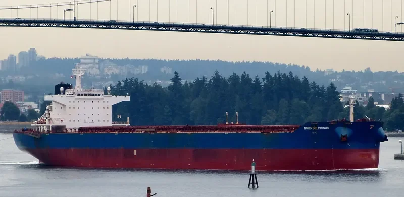 EVRYDIKI Bulk Carrier IMO 9448023 photo 7