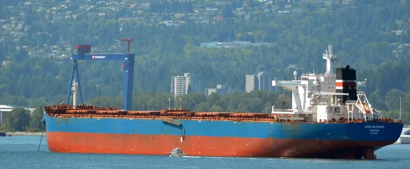 EVRYDIKI Bulk Carrier IMO 9448023 photo 10