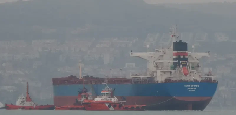 IDOMENEAS Bulk Carrier IMO 9448035 photo 7