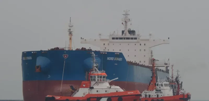 IDOMENEAS Bulk Carrier IMO 9448035 photo 8