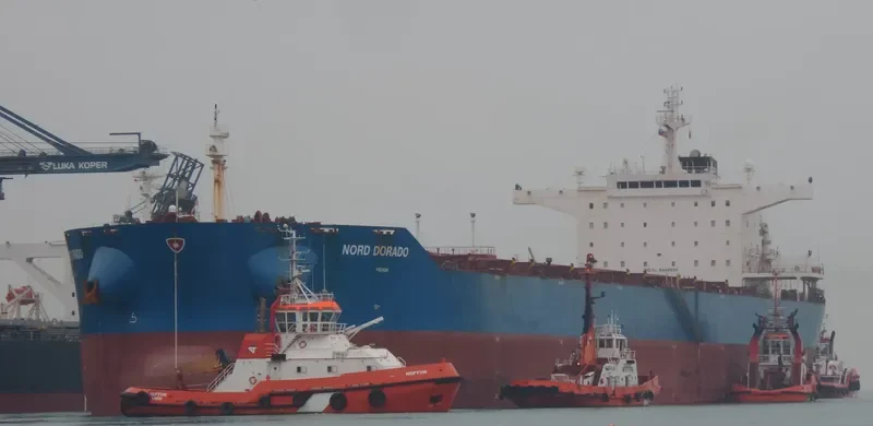 IDOMENEAS Bulk Carrier IMO 9448035 photo 9