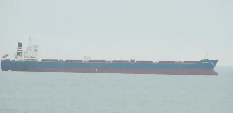 ANGLO SAXON Bulk Carrier IMO 9448059 photo 2