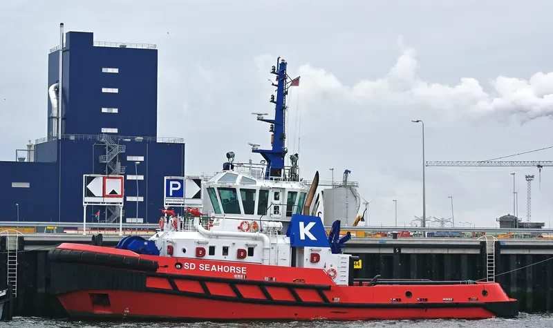 SD SEAHORSE General Cargo IMO 9448190 photo 2