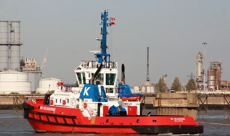 SD SEAHORSE General Cargo IMO 9448190 photo 3