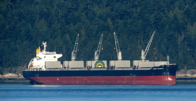 ULTRA COLONSAY Bulk Carrier IMO 9448217 photo 3