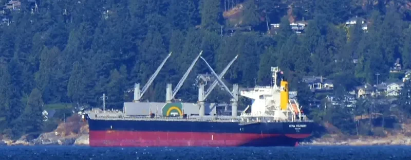 ULTRA COLONSAY Bulk Carrier IMO 9448217 photo 4