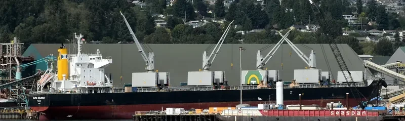 ULTRA COLONSAY Bulk Carrier IMO 9448217 photo 5