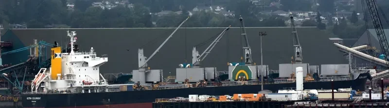ULTRA COLONSAY Bulk Carrier IMO 9448217 photo 6