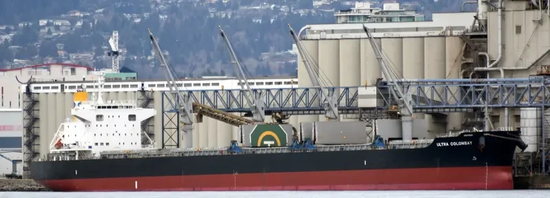 ULTRA COLONSAY Bulk Carrier IMO 9448217 photo 9