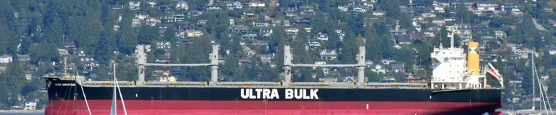 ULTRA SASKATOON Bulk Carrier IMO 9448229 photo 2