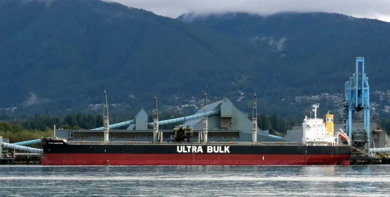 ULTRA SASKATOON Bulk Carrier IMO 9448229 photo 4
