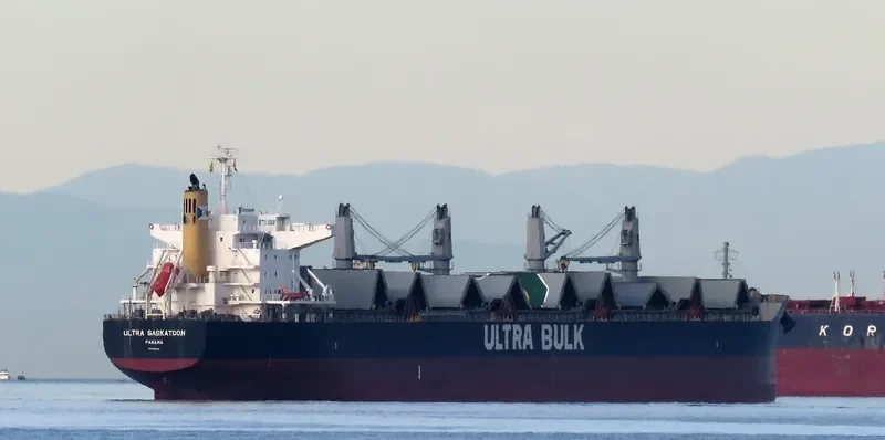 ULTRA SASKATOON Bulk Carrier IMO 9448229 photo 6
