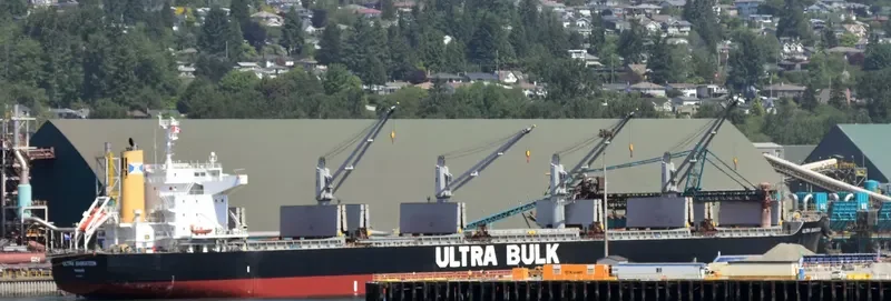 ULTRA SASKATOON Bulk Carrier IMO 9448229 photo 7