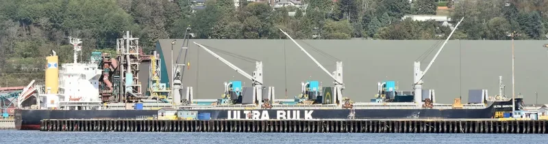 ULTRA SASKATOON Bulk Carrier IMO 9448229 photo 9