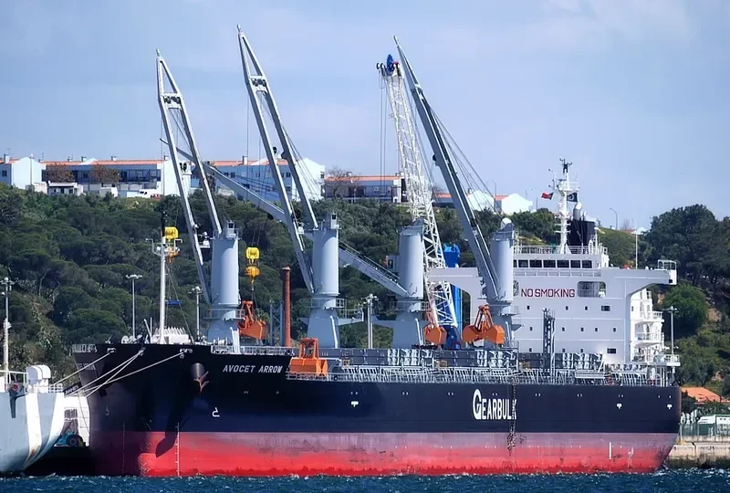 AVOCET ARROW General Cargo IMO 9448255