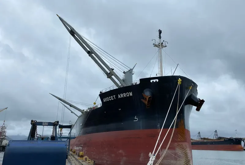 AVOCET ARROW General Cargo IMO 9448255 photo 2