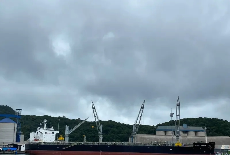 AVOCET ARROW General Cargo IMO 9448255 photo 3