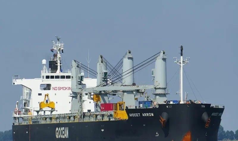 AVOCET ARROW General Cargo IMO 9448255 photo 6