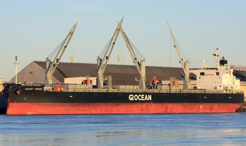 AVOCET ARROW General Cargo IMO 9448255 photo 9