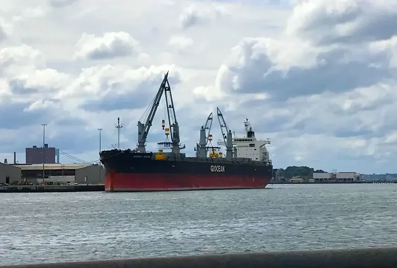 AVOCET ARROW General Cargo IMO 9448255 photo 10