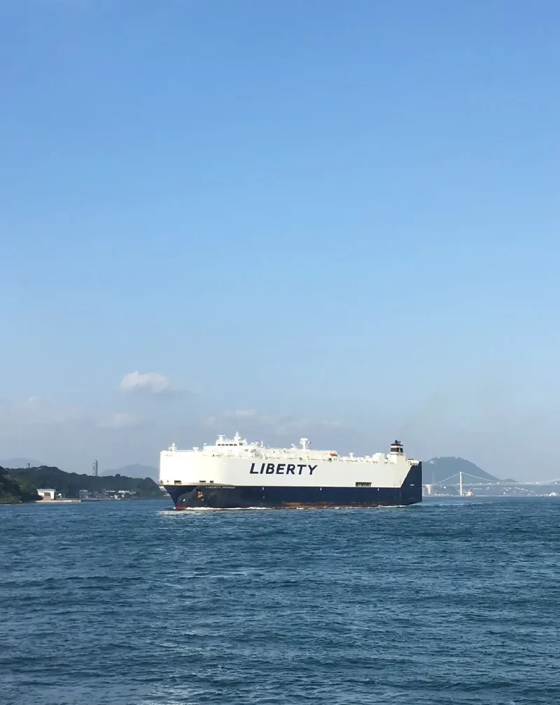 LIBERTY PROMISE General Cargo IMO 9448425