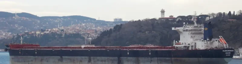 GOLDEN ZHOUSHAN Bulk Carrier IMO 9448554 photo 2
