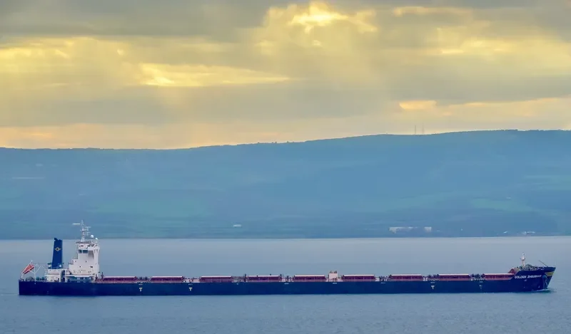 GOLDEN ZHOUSHAN Bulk Carrier IMO 9448554 photo 3