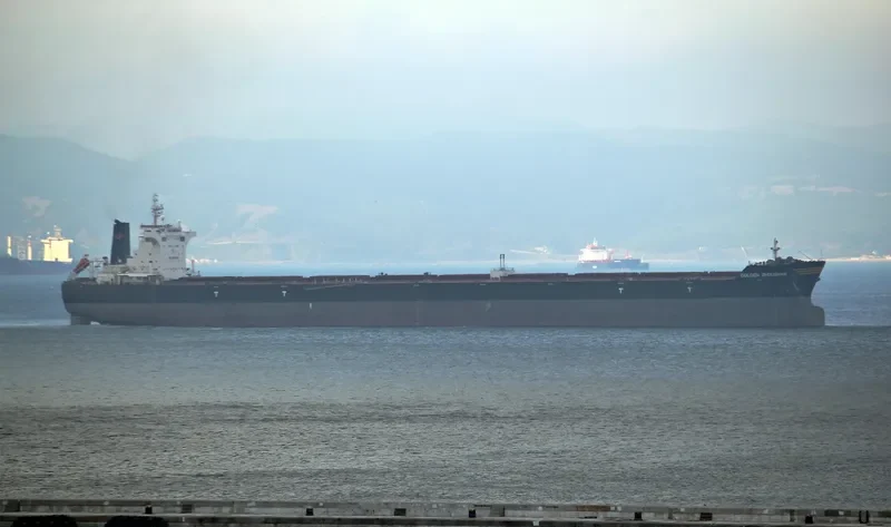 GOLDEN ZHOUSHAN Bulk Carrier IMO 9448554 photo 4