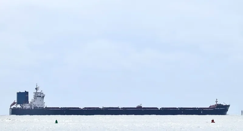 GOLDEN ZHOUSHAN Bulk Carrier IMO 9448554 photo 8