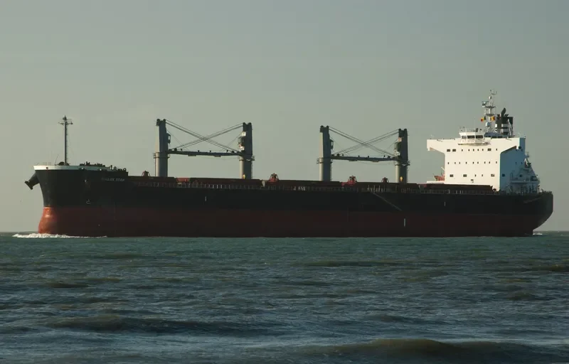 JOKER Bulk Carrier IMO 9448578 photo 2