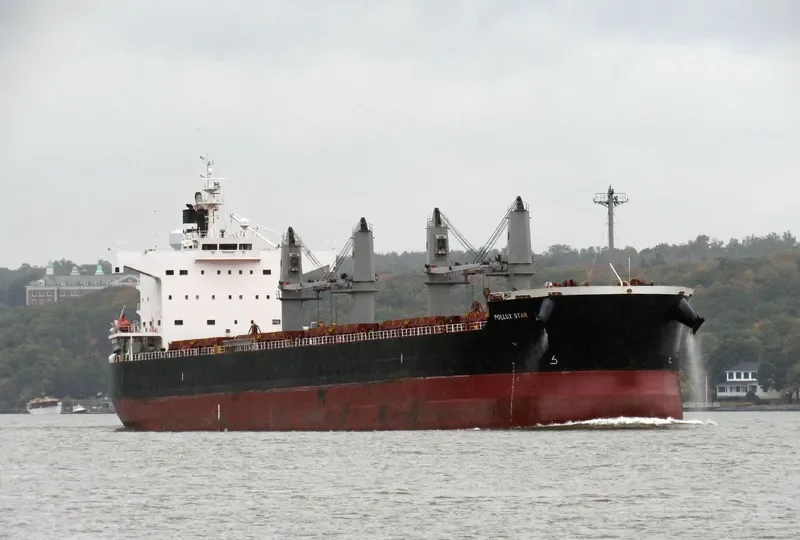 JOKER Bulk Carrier IMO 9448578 photo 5