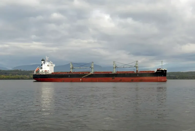JOKER Bulk Carrier IMO 9448578 photo 7