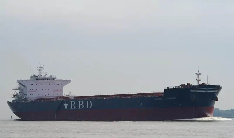 ROYAL Bulk Carrier IMO 9448580 photo 7