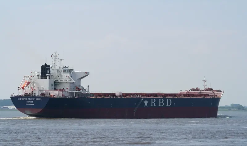 ROYAL Bulk Carrier IMO 9448580 photo 8