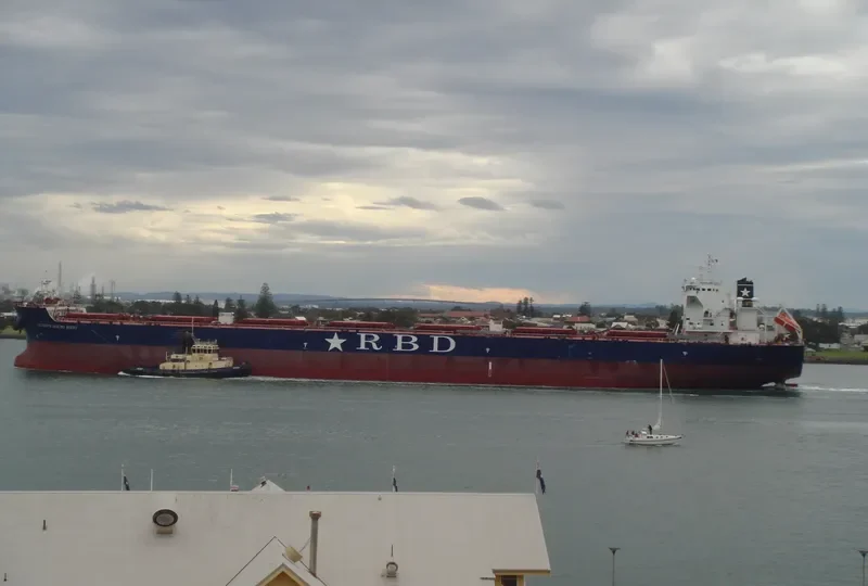 ROYAL Bulk Carrier IMO 9448580 photo 9