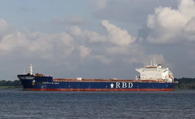 MARIOLINA DE CARLINI Bulk Carrier IMO 9448607 photo 3