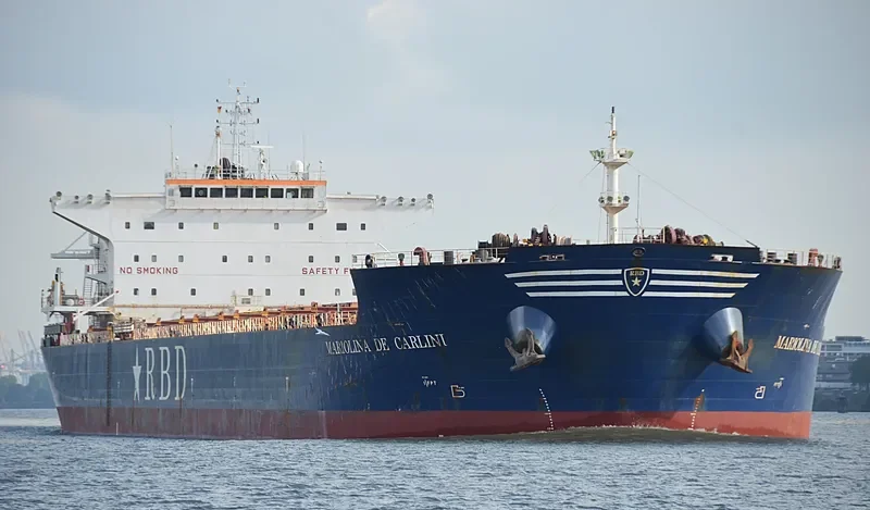 MARIOLINA DE CARLINI Bulk Carrier IMO 9448607 photo 7