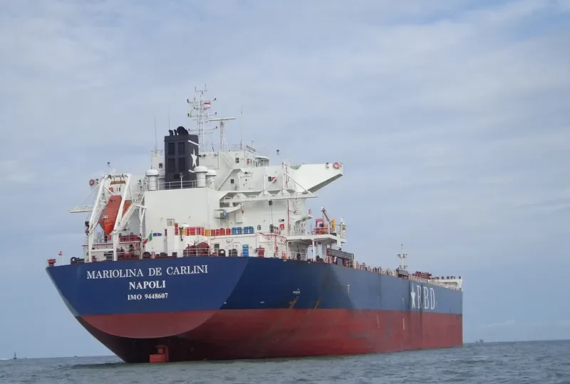 MARIOLINA DE CARLINI Bulk Carrier IMO 9448607 photo 10
